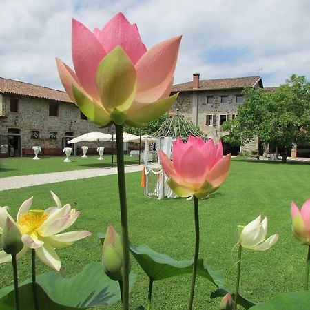 Agriturismo il Vagabondo Villa Buttrio Esterno foto